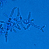 27150616t.jpg